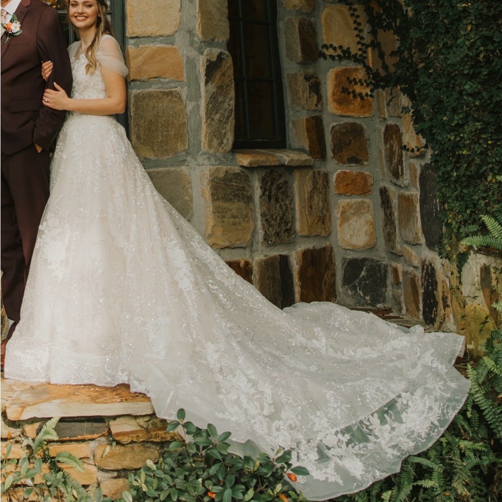 Pronovias Wedding Dress/Gown